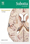 Sobotta, Lernkarten Neuroanatomie