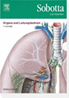 Sobotta, Lernkarten Organe und Leitungsbahnen